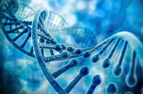 恒润达生CAR-T细胞产品IND申请完成技术评审，中国生物技术研发再添里程碑