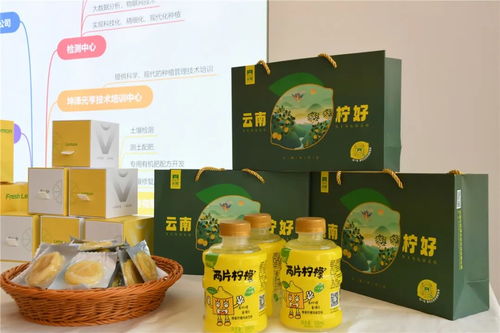 活力永胜丨丽江永胜 柠檬里的百亿产业梦