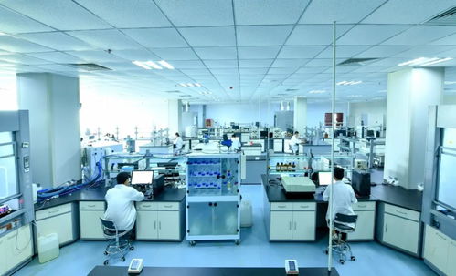 威海南海新区2家企业入选山东省瞪羚企业，技术创新引领区域发展