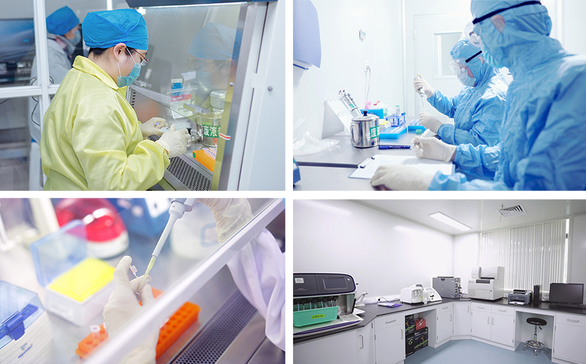 江苏默金生物工程技术 创新驱动，引领生物技术研发前沿